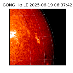 gong - 2025-06-19T06:37:42