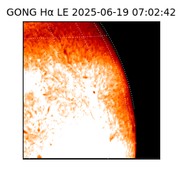 gong - 2025-06-19T07:02:42