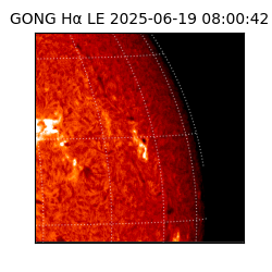 gong - 2025-06-19T08:00:42