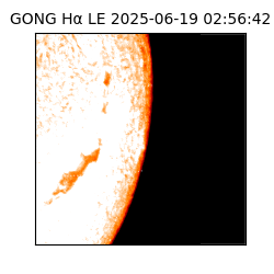 gong - 2025-06-19T02:56:42