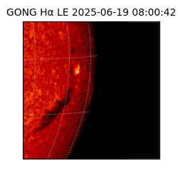 gong - 2025-06-19T08:00:42