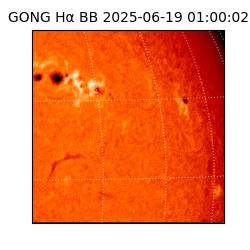 gong - 2025-06-19T01:00:02