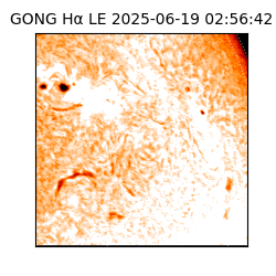 gong - 2025-06-19T02:56:42