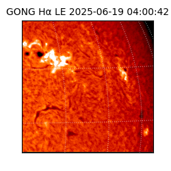 gong - 2025-06-19T04:00:42