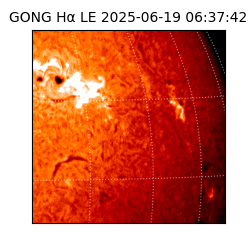 gong - 2025-06-19T06:37:42