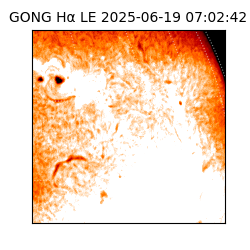 gong - 2025-06-19T07:02:42