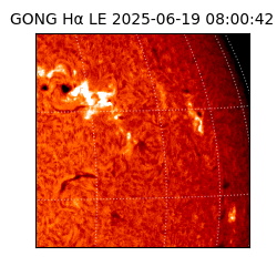 gong - 2025-06-19T08:00:42