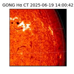 gong - 2025-06-19T14:00:42