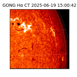 gong - 2025-06-19T15:00:42
