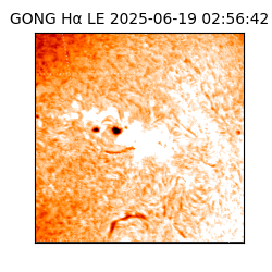 gong - 2025-06-19T02:56:42