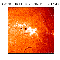 gong - 2025-06-19T06:37:42