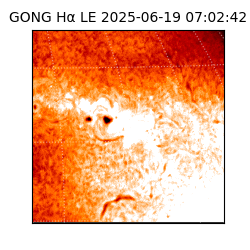 gong - 2025-06-19T07:02:42