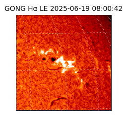 gong - 2025-06-19T08:00:42