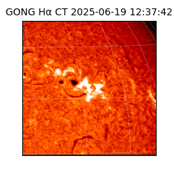 gong - 2025-06-19T12:37:42