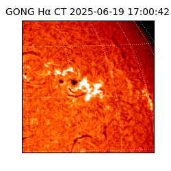 gong - 2025-06-19T17:00:42