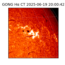gong - 2025-06-19T20:00:42