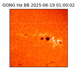 gong - 2025-06-19T01:00:02