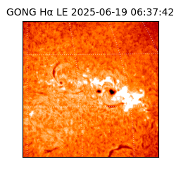 gong - 2025-06-19T06:37:42