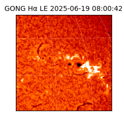 gong - 2025-06-19T08:00:42