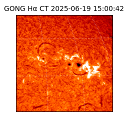 gong - 2025-06-19T15:00:42