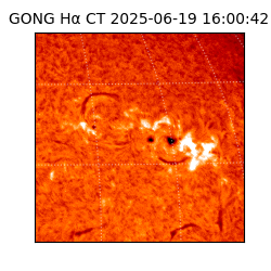 gong - 2025-06-19T16:00:42