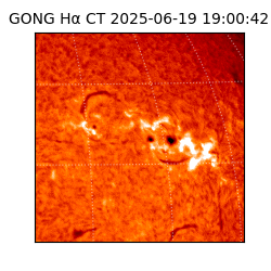 gong - 2025-06-19T19:00:42