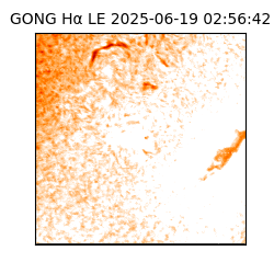 gong - 2025-06-19T02:56:42