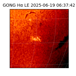 gong - 2025-06-19T06:37:42