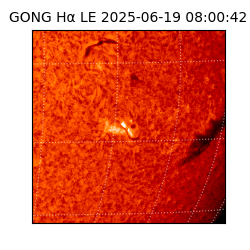 gong - 2025-06-19T08:00:42