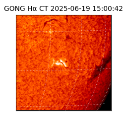 gong - 2025-06-19T15:00:42