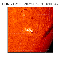 gong - 2025-06-19T16:00:42