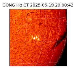 gong - 2025-06-19T20:00:42