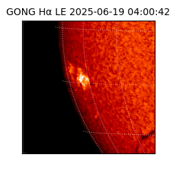 gong - 2025-06-19T04:00:42