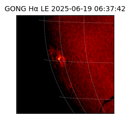 gong - 2025-06-19T06:37:42