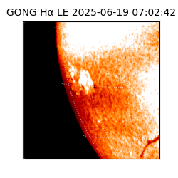 gong - 2025-06-19T07:02:42