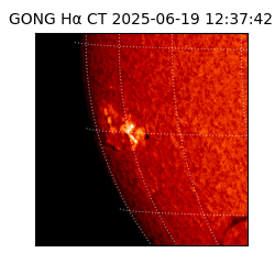 gong - 2025-06-19T12:37:42