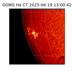 gong - 2025-06-19T13:00:42