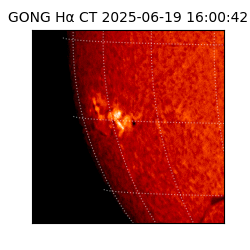 gong - 2025-06-19T16:00:42