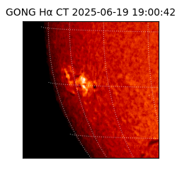 gong - 2025-06-19T19:00:42