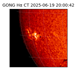 gong - 2025-06-19T20:00:42