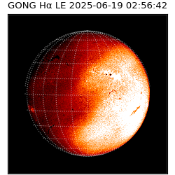 gong - 2025-06-19T02:56:42