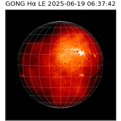 gong - 2025-06-19T06:37:42