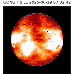 gong - 2025-06-19T07:02:42