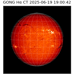 gong - 2025-06-19T19:00:42