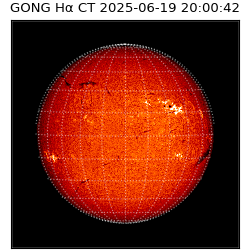 gong - 2025-06-19T20:00:42