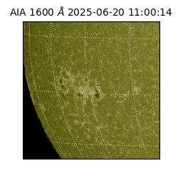 saia - 2025-06-20T11:00:14.134000