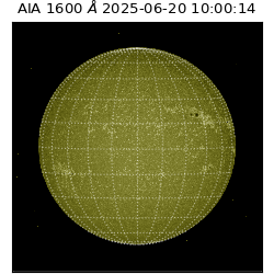 saia - 2025-06-20T10:00:14.133000