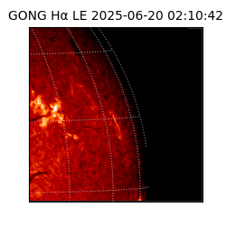 gong - 2025-06-20T02:10:42
