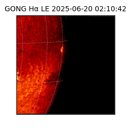gong - 2025-06-20T02:10:42