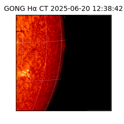 gong - 2025-06-20T12:38:42